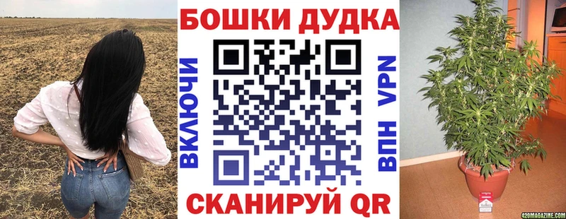 Бошки Шишки гибрид продажа наркотиков Каспийск